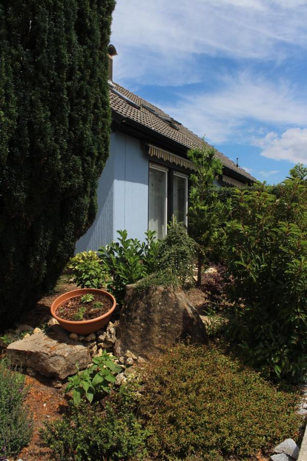 Fewo An Der Olmuhle Apartamento Heuchelheim-Klingen Exterior foto